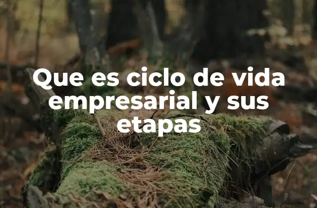 Que es Ciclo de Vida Empresarial y Sus Etapas