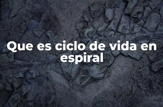 Que es Ciclo de Vida en Espiral 15 El modelo espiral como enfoque iterativo y adaptativo