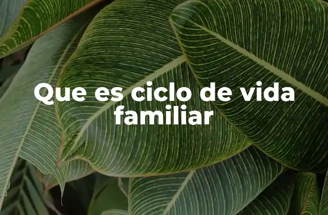 Las fases del desarrollo familiar