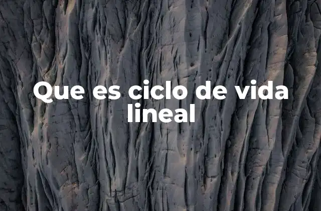 Que es Ciclo de Vida Lineal