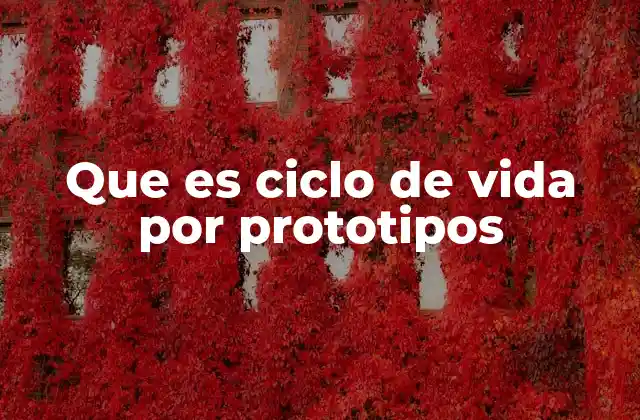Que es Ciclo de Vida por Prototipos 2 La importancia del ciclo iterativo en el desarrollo de productos