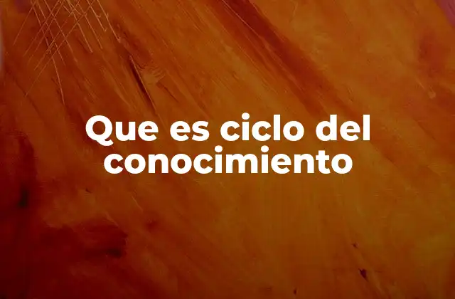 Que es Ciclo Del Conocimiento