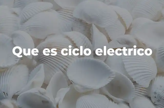Que es Ciclo Electrico