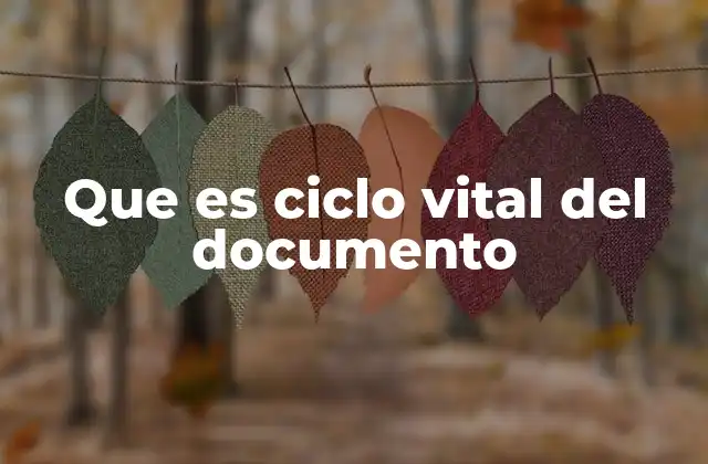 Que es Ciclo Vital Del Documento