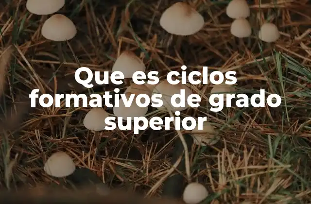 Que es Ciclos Formativos de Grado Superior