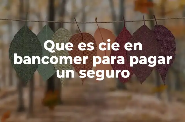 Que es Cie en Bancomer para Pagar un Seguro 2 El proceso de pago de seguros a través de Bancomer sin mencionar el CIE