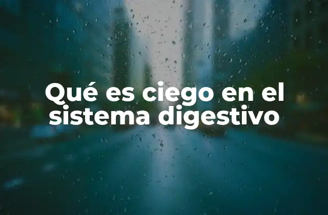 Qué es Ciego en el Sistema Digestivo