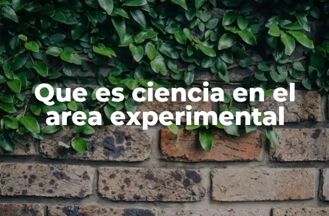 Que es Ciencia en el Area Experimental