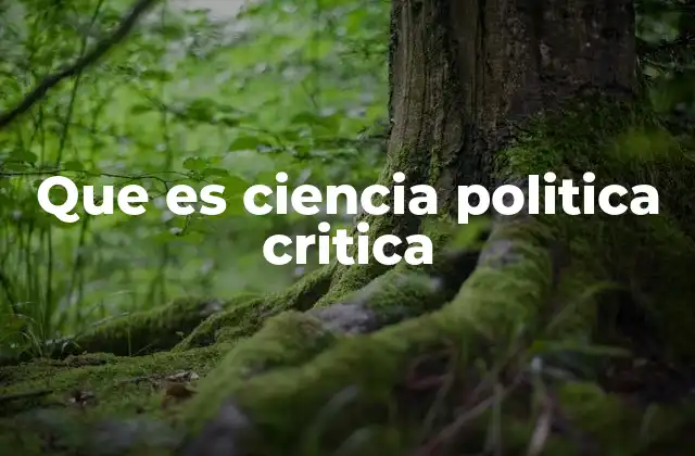 Que es Ciencia Politica Critica