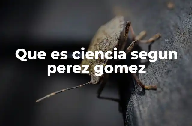 Que es Ciencia Segun Perez Gomez