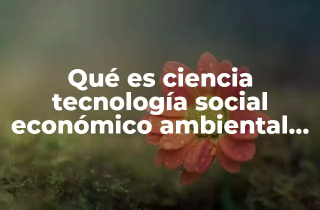 Qué es Ciencia Tecnología Social Económico Ambiental según Universidad