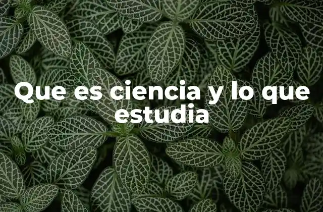 El papel de la metodología en el avance del conocimiento científico