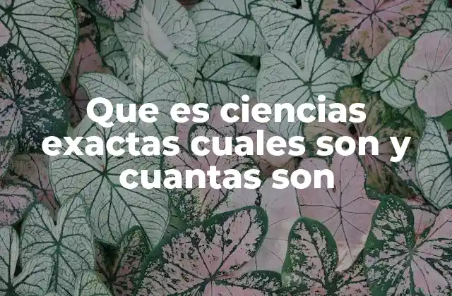 Que es Ciencias Exactas Cuales Son y Cuantas Son