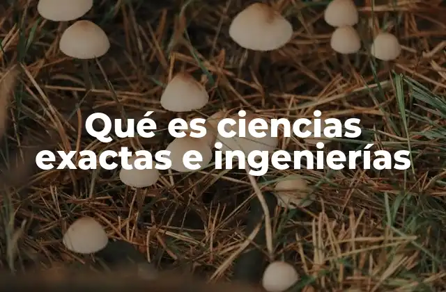 Qué es Ciencias Exactas e Ingenierías