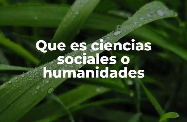 Que es Ciencias Sociales o Humanidades