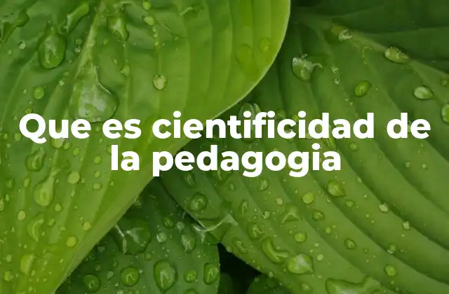 Que es Cientificidad de la Pedagogia 2 La base científica en la formación educativa
