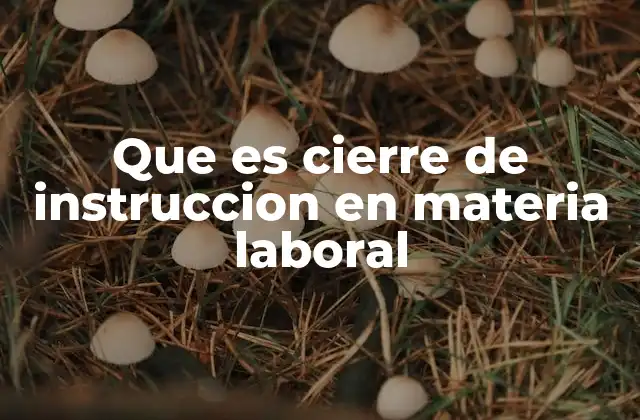 Que es Cierre de Instruccion en Materia Laboral