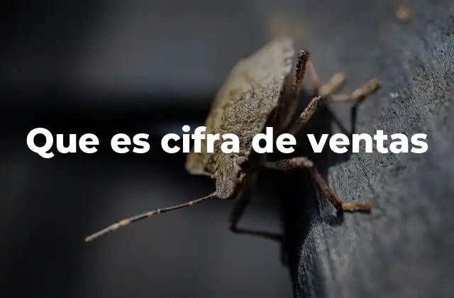 Que es Cifra de Ventas