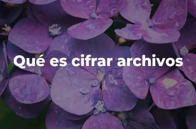 Qué es Cifrar Archivos