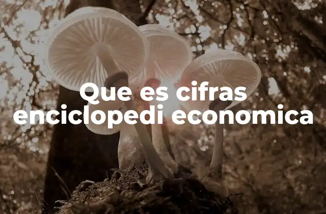 Que es Cifras Enciclopedi Economica