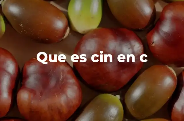 Diferencias entre cin y scanf en C