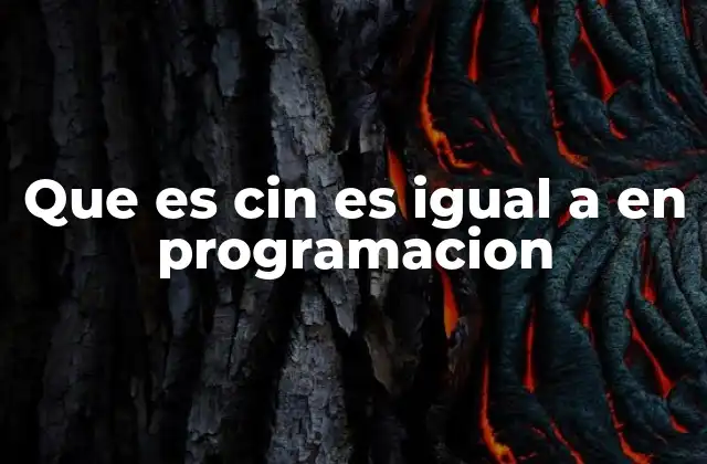 Que es Cin es Igual a en Programacion