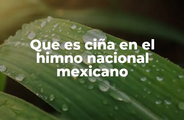 Que es Ciña en el Himno Nacional Mexicano