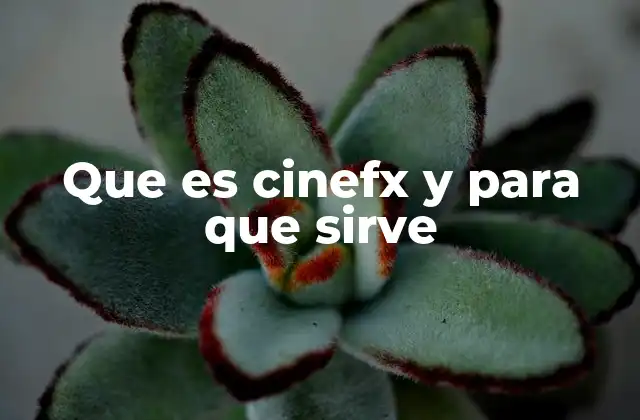 Que es Cinefx y para que Sirve