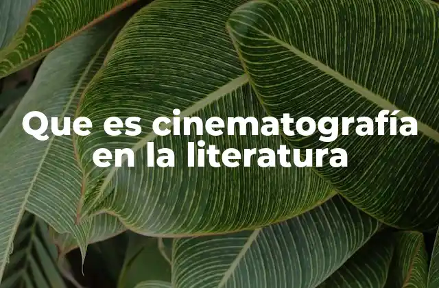 Que es Cinematografía en la Literatura