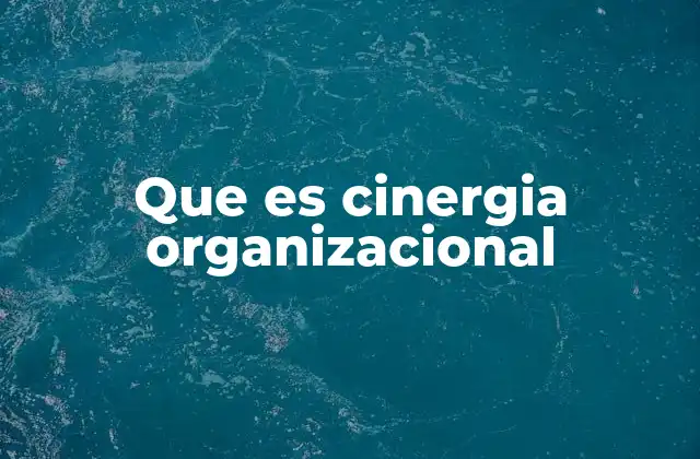 Cinergia organizacional como motor del crecimiento empresarial