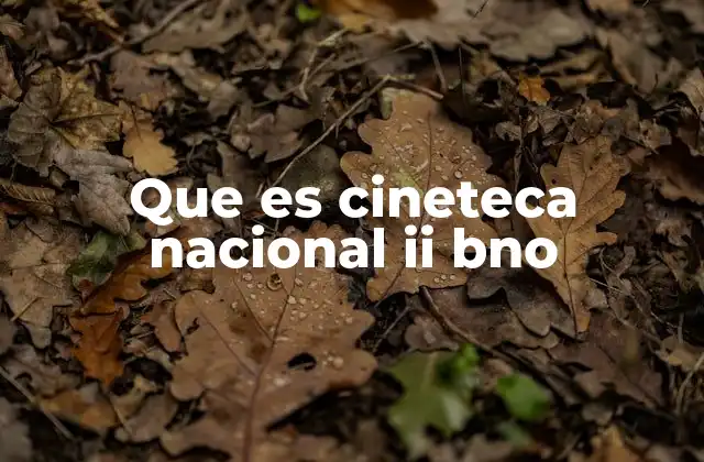 Que es Cineteca Nacional Ii Bno