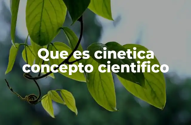Que es Cinetica Concepto Cientifico