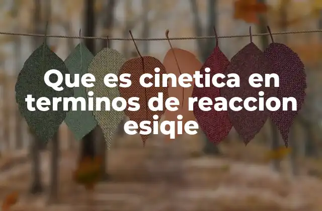Que es Cinetica en Terminos de Reaccion Esiqie