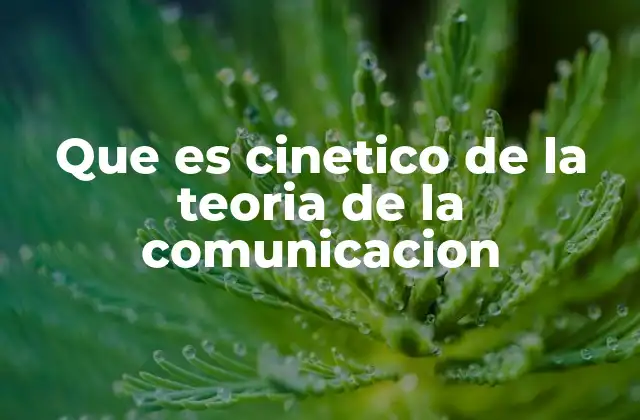 Que es Cinetico de la Teoria de la Comunicacion