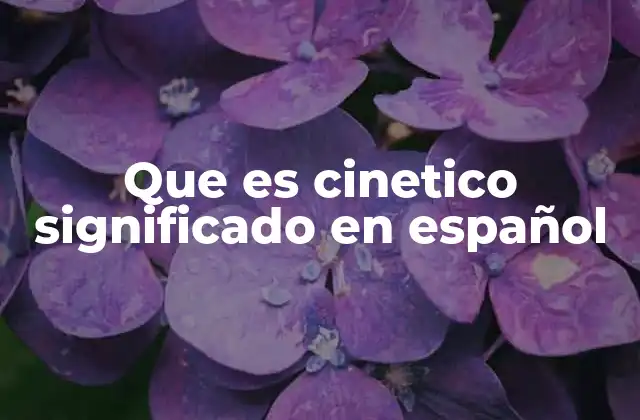 Que es Cinetico Significado en Español 2 Aplicaciones de lo cinético en diferentes contextos