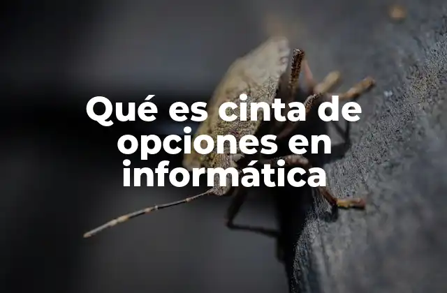 Qué es Cinta de Opciones en Informática