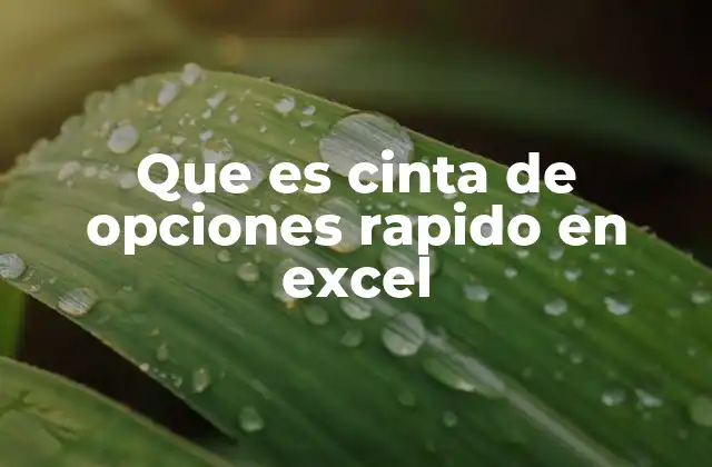 Que es Cinta de Opciones Rapido en Excel