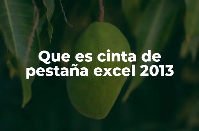 Que es Cinta de Pestaña Excel 2013