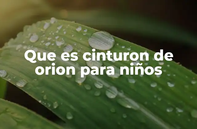 Que es Cinturon de Orion para Niños