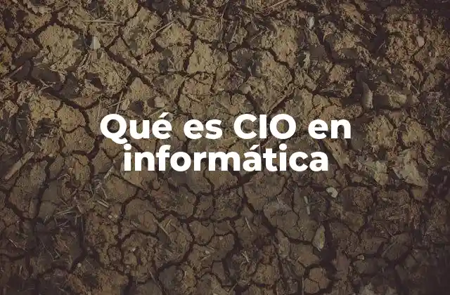 Qué es Cio en Informática