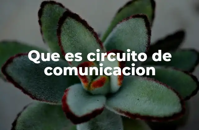 Que es Circuito de Comunicacion 2 Componentes esenciales de un circuito de comunicación