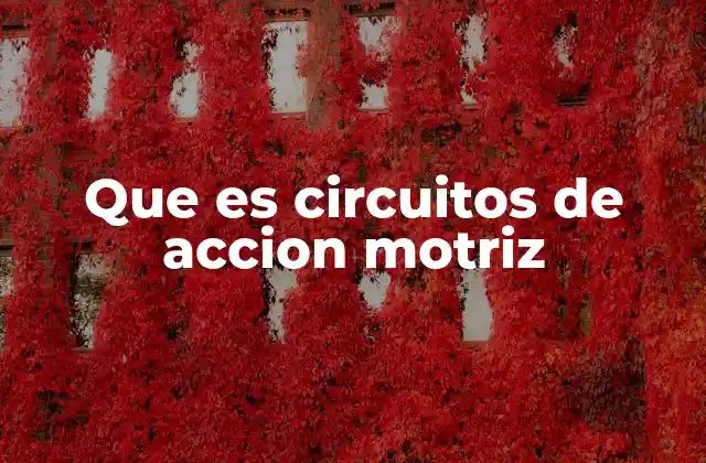 Que es Circuitos de Accion Motriz