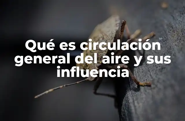 Qué es Circulación General Del Aire y Sus Influencia