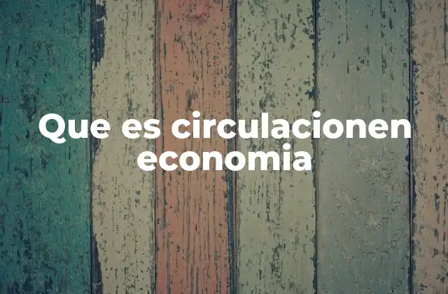 Que es Circulacionen Economia