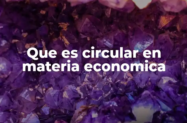 Que es Circular en Materia Economica