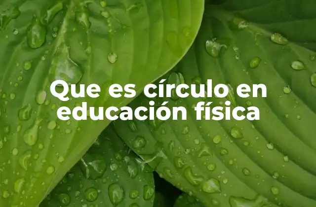 Que es Círculo en Educación Física