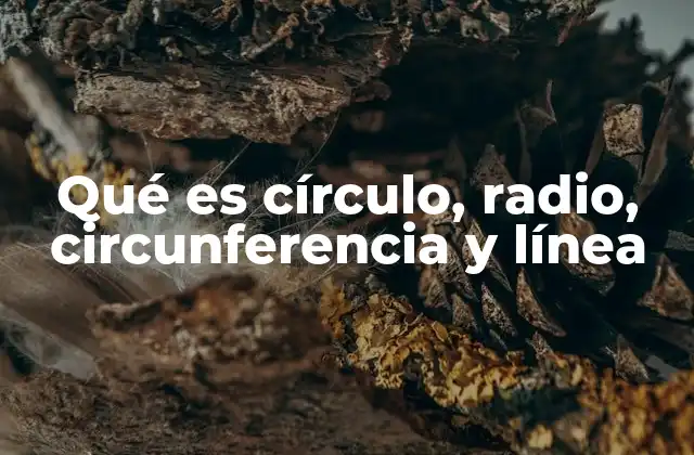 Qué es Círculo, Radio, Circunferencia y Línea