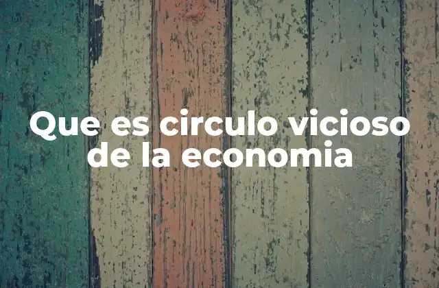 Que es Circulo Vicioso de la Economia