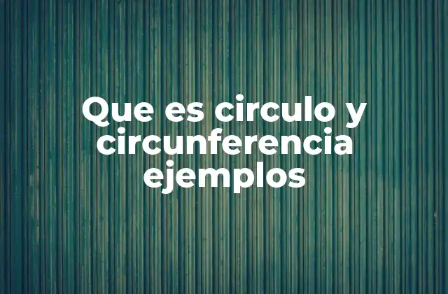 Que es Circulo y Circunferencia Ejemplos