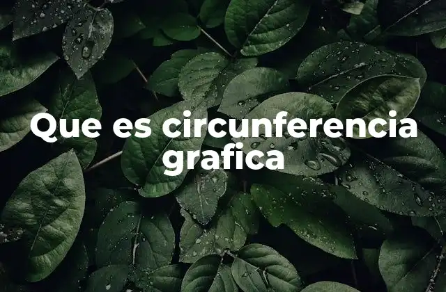Que es Circunferencia Grafica